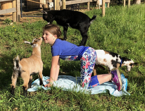 Parent and child Goat Yoga