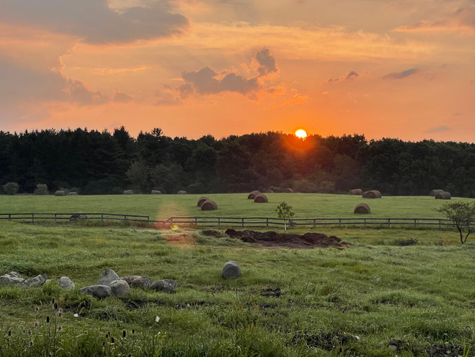 Photo shoot on the Farm