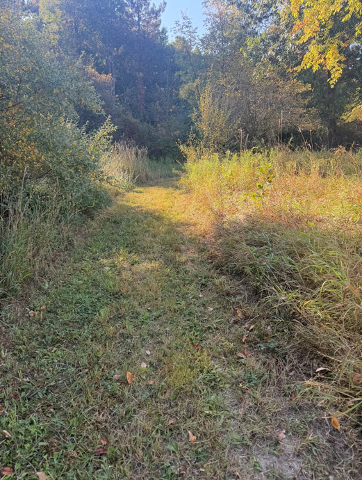 Farm 5k  (Run -Walk)