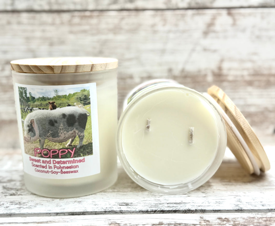 Poppy The Pig Candle