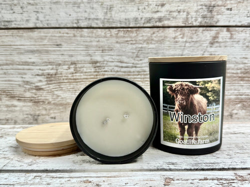 Winston The Highland Cow Candle