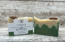Load image into Gallery viewer, Conifer