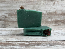 Load image into Gallery viewer, Conifer