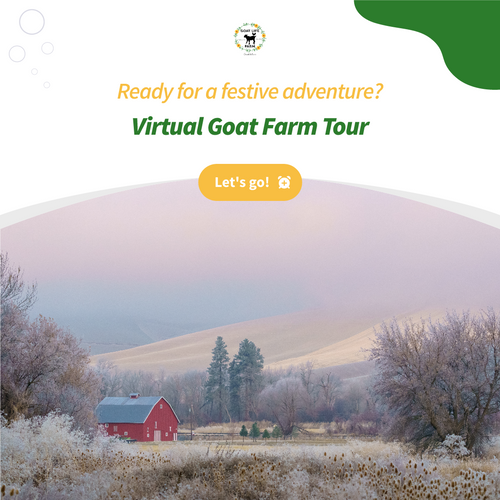 Jingle Bells Barnyard: A Virtual Christmas Goat Farm Tour