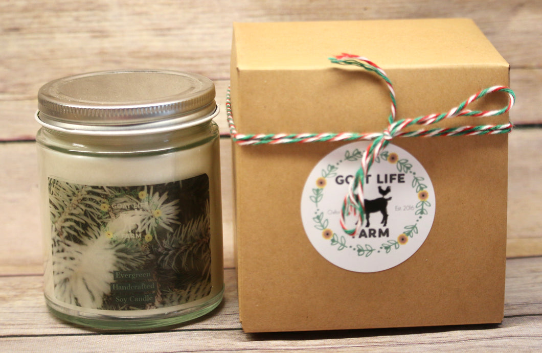 Holiday Soy Candle - Evergreen
