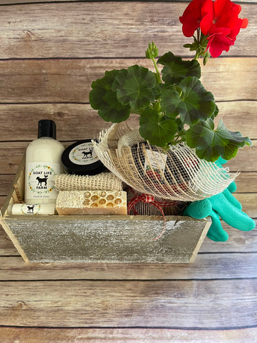 Honey Oatmeal Basket